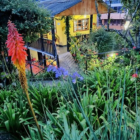 Hotel Brisas Del Nevado Guican Dış mekan fotoğraf